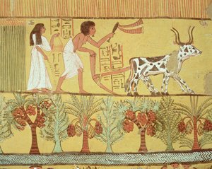 Sennedjem og hans kone på markerne, der sår og dyrker, fra Sennedjems grav, The Workers Village, New Kingdom (vægmaleri)